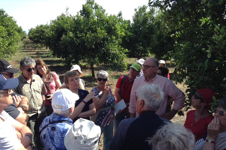 Catane : Visite guidée de l'exploitation agricole Pozzo di Gaspare avec dégustations
