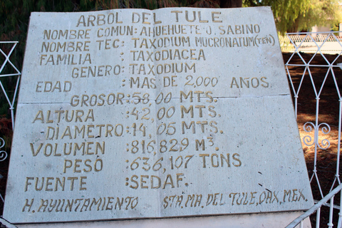 Depuis Puerto Escondido : Gataway à Oaxaca en une journée.