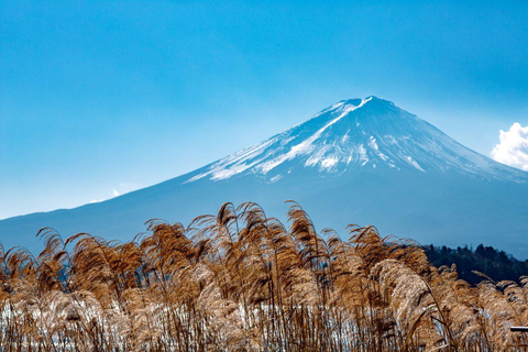 Tokio: Excursión de un día al Monte Fuji, Lago Yamanaka y Lago KawaguchikoSalida Marunouchi Norte:8:00 AM