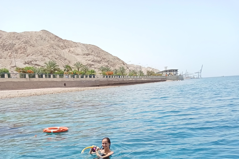 Amman: Dead Sea, Lot's Wife, & Blue Mosque Tour with Lunch Dead Sea only