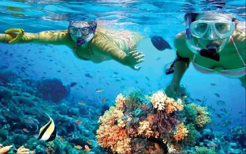 costa-maya-mahahual-snorkeling-adventure-tour-getyourguide