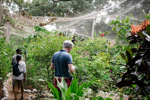 Zanzibar: Jozani Forest, Tortoise Park, & Butterfly Tour Private tour without hotel pick up and drop off