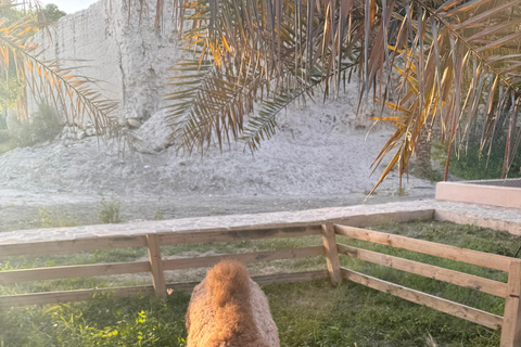 Oman : circuit de 4 jours dans le Wadi, à Sur, dans le désert, à Nizwa et à Mascate