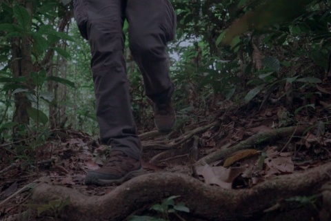 From Madre de Dios: Night trekking in the Amazon jungle