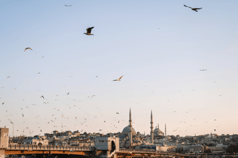 Istanbul Discovery: 3 Nights Hotel Stay & Private Tour Istanbul 3-Night Private Tour & Bosphorus Dinner Cruise