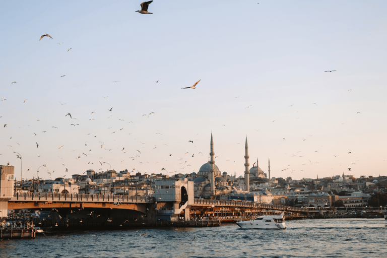 Istanbul Discovery: 3 Nights Hotel Stay & Private Tour Istanbul 3-Night Private Tour & Bosphorus Dinner Cruise