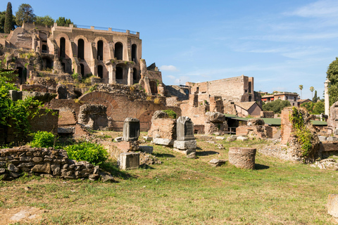 Colosseum: Guided tour of the Underground, Arena, Roman Forum, and Palatine Hill