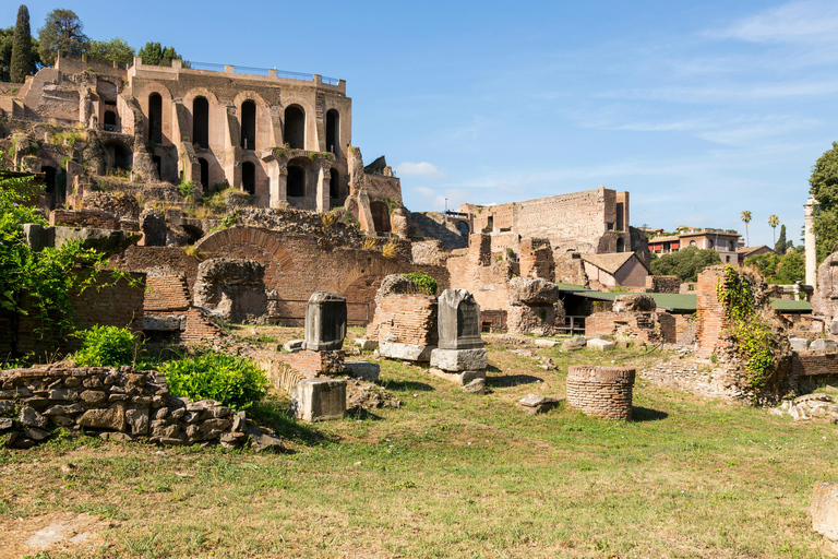 Colosseum: Guided tour of the Underground, Arena, Roman Forum, and Palatine Hill