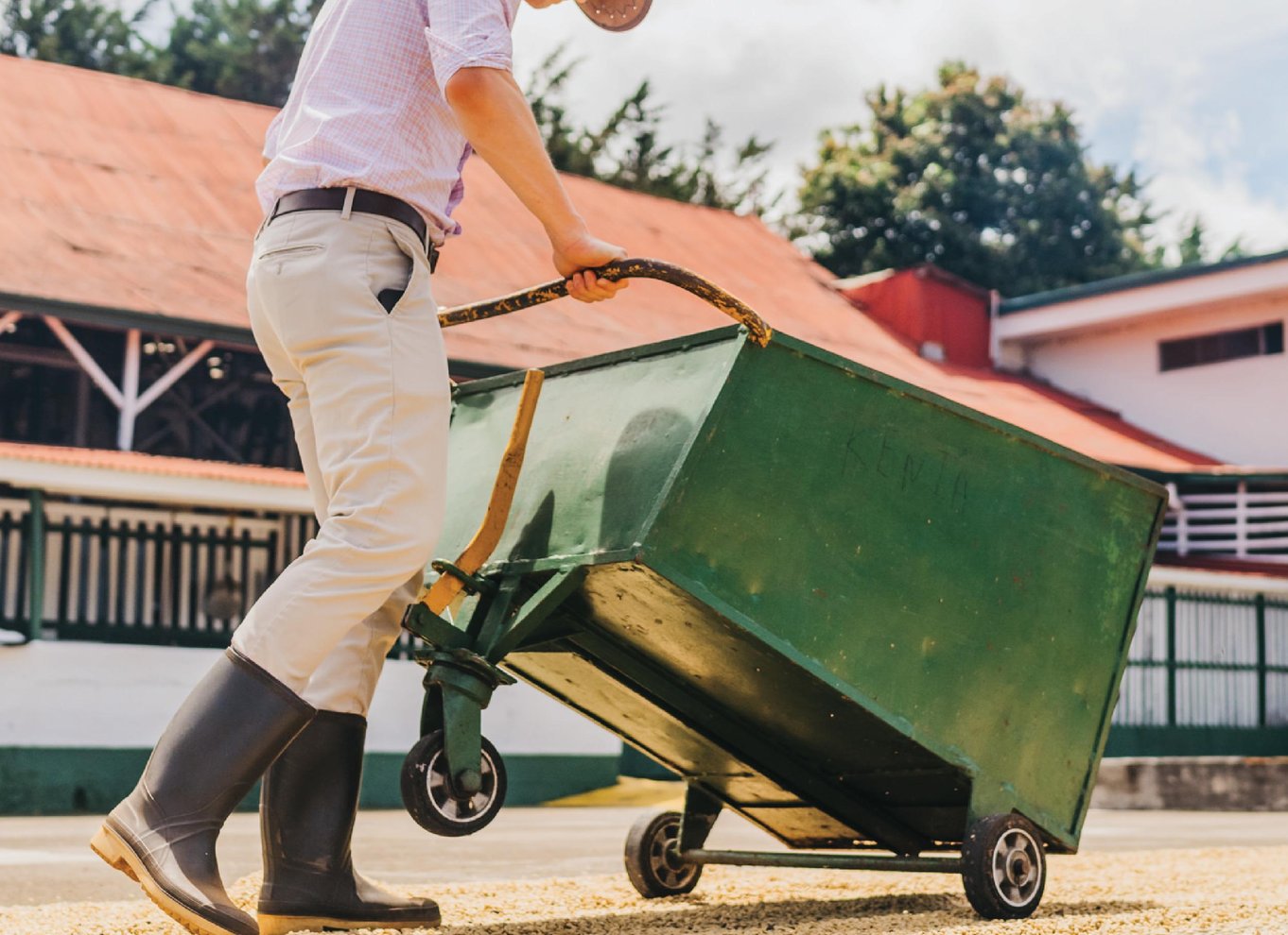 Alajuela: Guidet tur til kaffeplantage med smagning