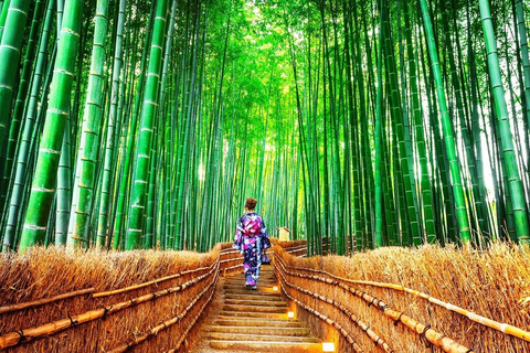 من أوساكا: جولة ليوم واحد في كيوتو ونارا وفوشيمي إناري وأراشياماTrip including Sagano Romantic Train