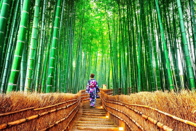 من أوساكا: جولة ليوم واحد في كيوتو ونارا وفوشيمي إناري وأراشياماTrip including Sagano Romantic Train