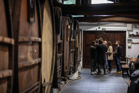 Traditional Cider House Tour | Iruin, San Sebastián