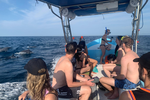 Puerto Escondido: Bootstour zu Delfinen und MeerestierenPrivate Tour
