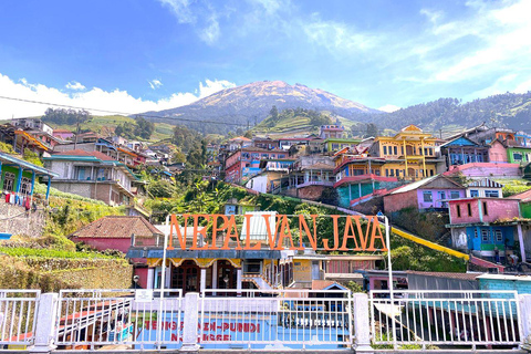 Selogriyo Temple and Java Rice Terrace Guided Trekking Tour Selogriyo Temple Java Rice Terrace Guided Trekking Tour