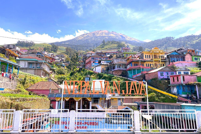 Selogriyo Temple and Java Rice Terrace Guided Trekking Tour Selogriyo Temple Java Rice Terrace Guided Trekking Tour