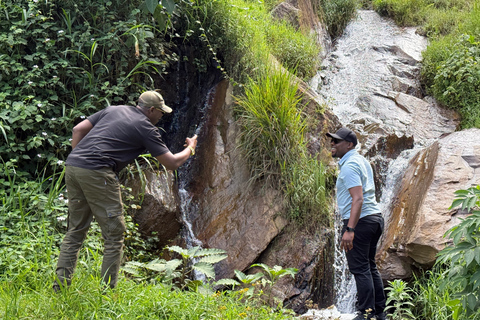 Musanze, Volcanoes National Park Region Day Trip from Kigali Standard Small Group Option