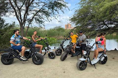 Aruba: Electric Scooter Tour with Beach Stops