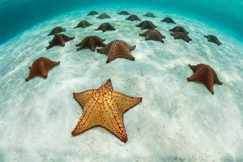 Punta Cana: Saona Island and Chavón River Combo with Guided Tours Saona Island + Chavon River