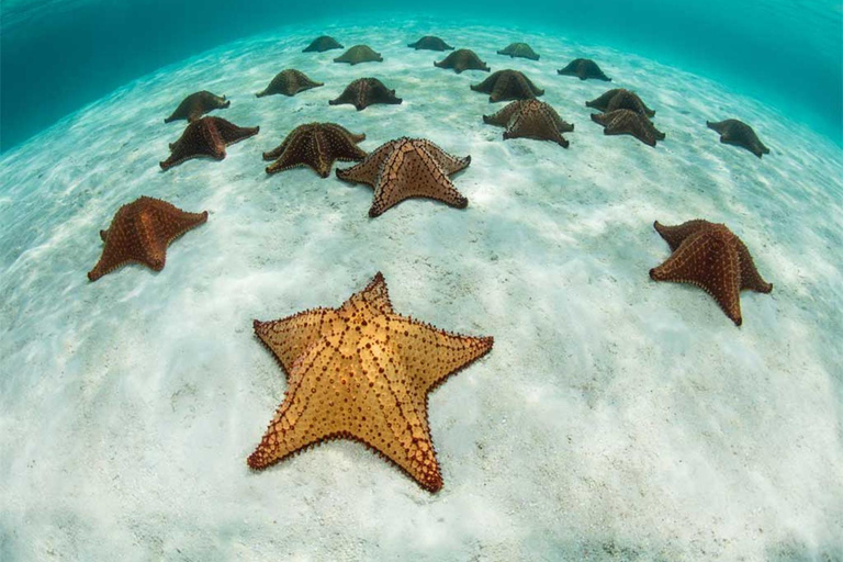 Punta Cana: Saona Island and Chavón River Combo with Guided Tours Saona Island + Chavon River