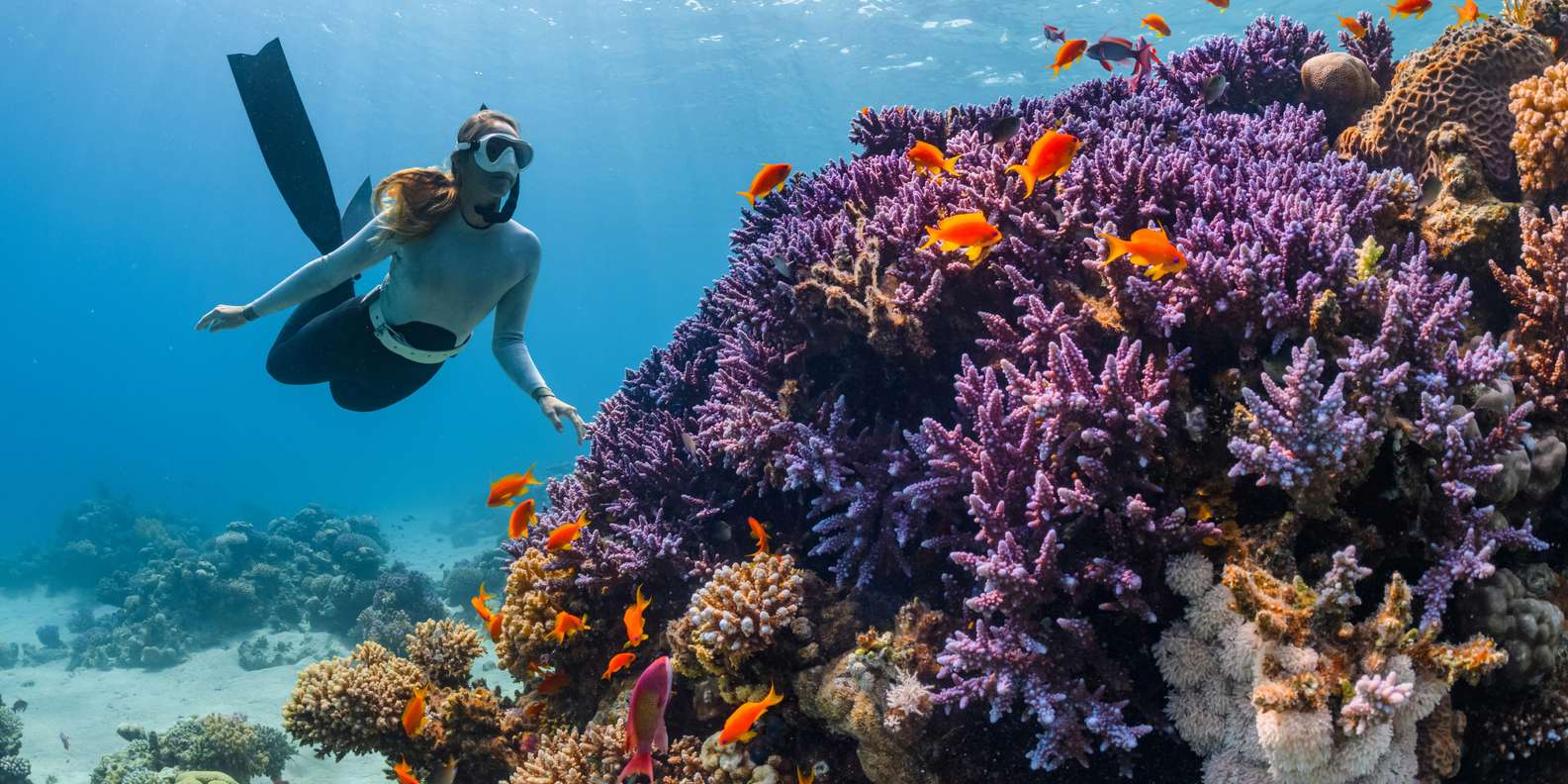 Bali: Blue Lagoon Snorkeling Tour with Optional Activities