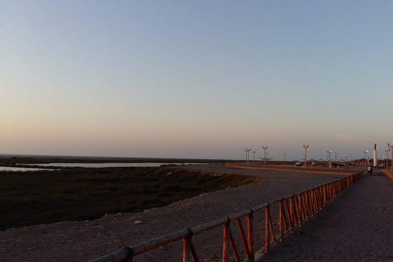 Pisco: City Tour with Playa de Pisco and Churches