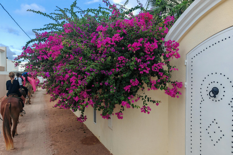 杰尔巴岛：在蓝色泻湖骑骆驼和骑马。杰尔巴：蓝色泻湖骑骆驼和骑马之旅。