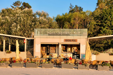 Ķemeri Great Bog With Optional Sunrise & Jūrmala Visit Ķemeri Bog Shared Small Group Tour