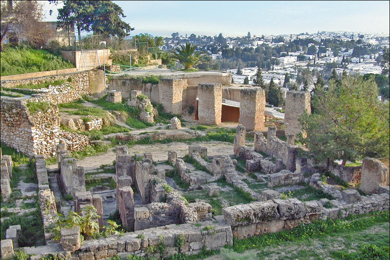 Tunis Day Tour: Medina, Carthage & Sidi Bou Said