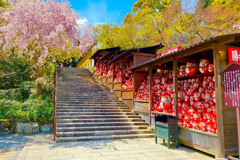 Osaka: City Highlights, Minoh Falls & Katsuoji Private Tour