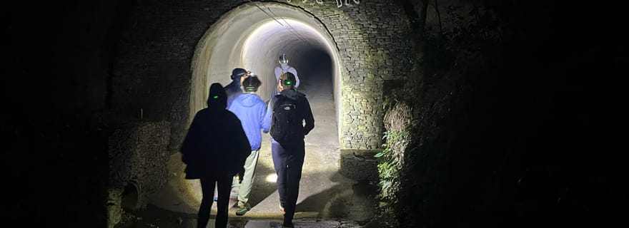 Monteverde : Tyrolienne et Promenade nocturne dans la jungle