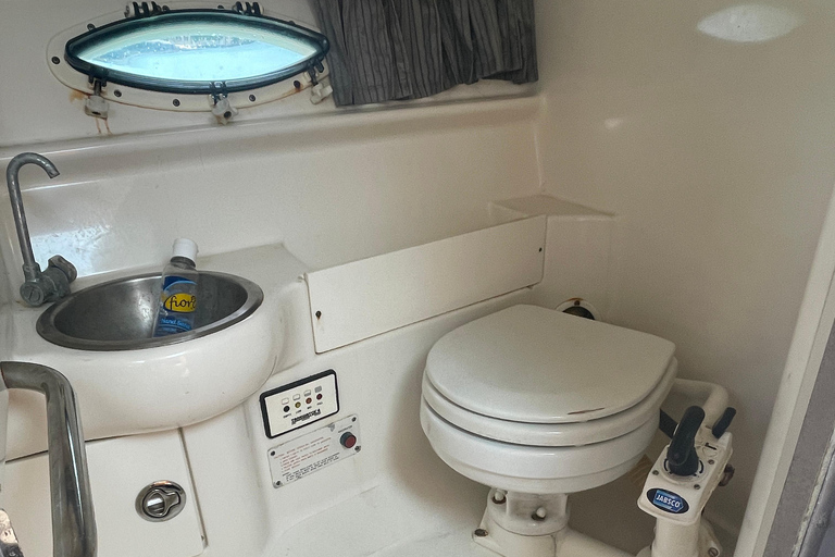 Miami: tour por la isla de los multimillonarios, el banco de arena y la isla de los mapaches.Miami: Isla de los multimillonarios, Sandbar y Raccoon Island Tour