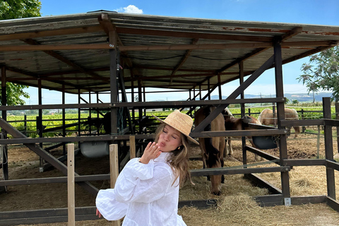 Ibiza: Photoshoot with Majestic Horses