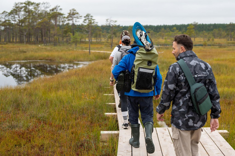 From Tallinn: Jägala Waterfall and Bog Walk Tour