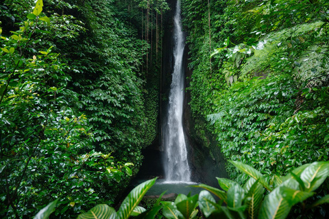 Bali: Floating Temple, Jatiluwih & Hidden Waterfall Private- All Inclusive