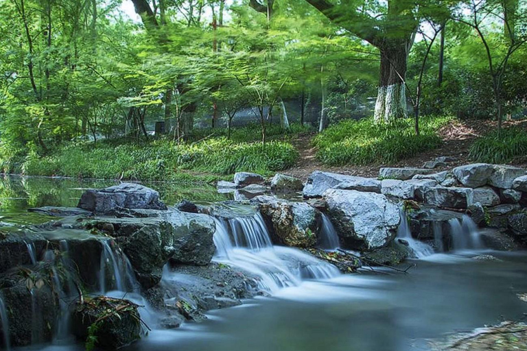 Suzhou: Hangzhou Nine Creeks & Longjing Tea Village Trip