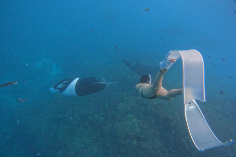 Nusa Penida : Private Day Tour & Snorkeling See Manta Rays Nusa Penida: Snorkeling Ticket with Shared Boat