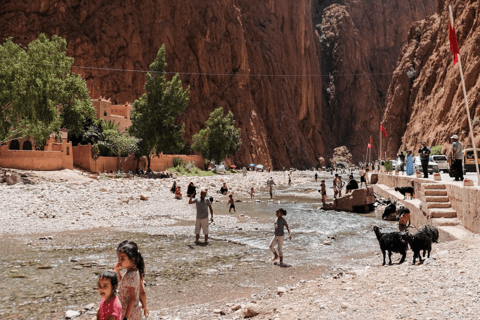 من فاس: رحلة ذهاب وعودة لمدة يومين عبر صحراء مرزوقة وركوب الجمالخيار الجولة المشتركة