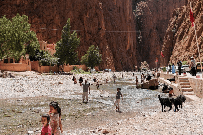 من فاس: رحلة ذهاب وعودة لمدة يومين عبر صحراء مرزوقة وركوب الجمالخيار الجولة المشتركة