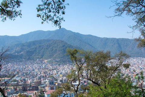 كاتماندو: جولة لمشاهدة القرود بصحبة مرشد في معبد القرود