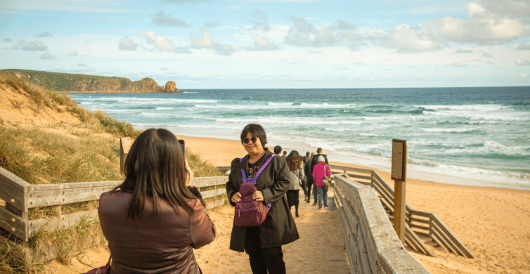Phillip Island Penguin Parade Tour photo 7