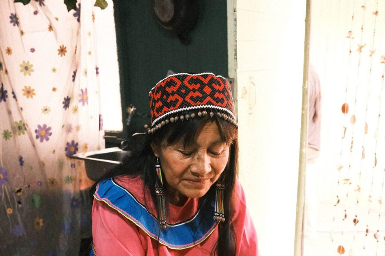 Lima: Cultural activity about the art of Shipibo women in a museum