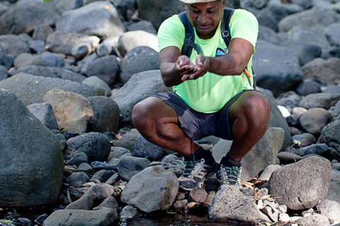 Mauritius nationalpark: Upptäck ön som den en gång var