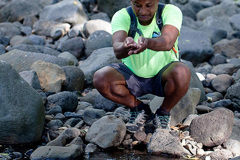 Mauritius nationalpark: Upptäck ön som den en gång var