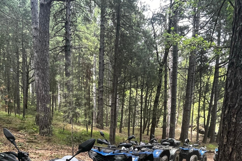 Motta Camastra: Tour in quad delle Gole Alcantara e dell'Etna