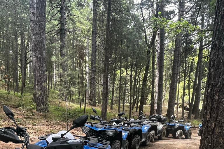 Motta Camastra: Tour in quad delle Gole Alcantara e dell'Etna