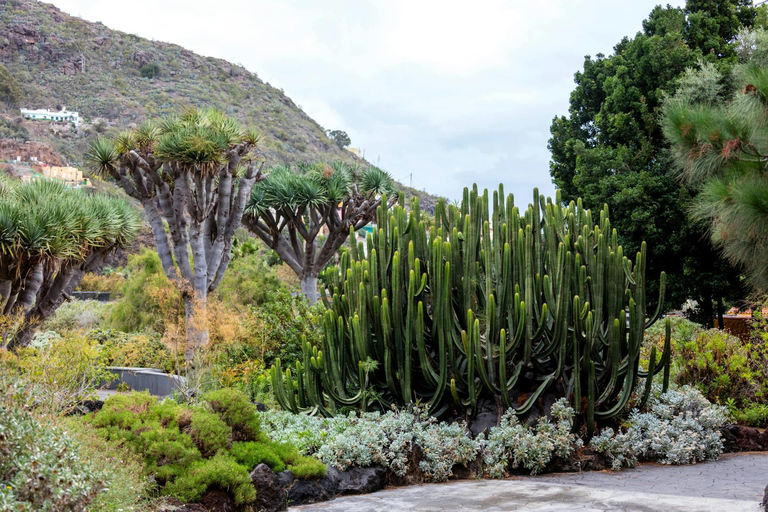 Visite du nord de la Grande Canarie et du jardin botanique