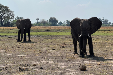 Okavango : Moremi Game Reserve Guided Safari Adventure