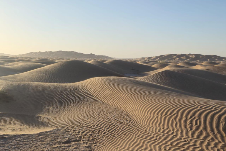 Empty Quarter & Lost City of Ubar – Full-Day Desert Safari Empty Quarter & Lost City of Ubar – Full-Day Desert Safari