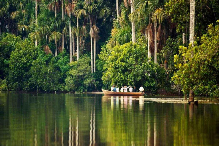 From Puerto Maldonado: 4-Day Amazon Rainforest Tour