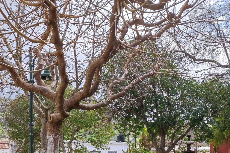 Assites da aldeia tradicional cretense, com comida e bebidas